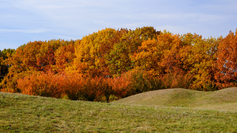 Long Island's Most Beautiful Trails and Preserves for a September Hike | Laffey Real Estate